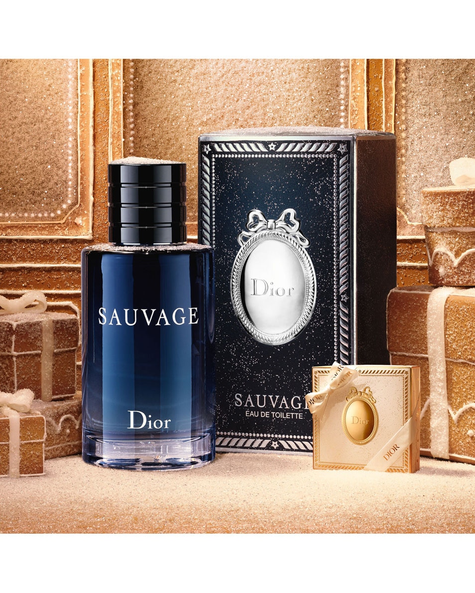 DIOR Sauvage Eau de Toilette - Limited Edition Men's Fragrance Herenparfum - Kruidige & hesperide noten 100 ML 2