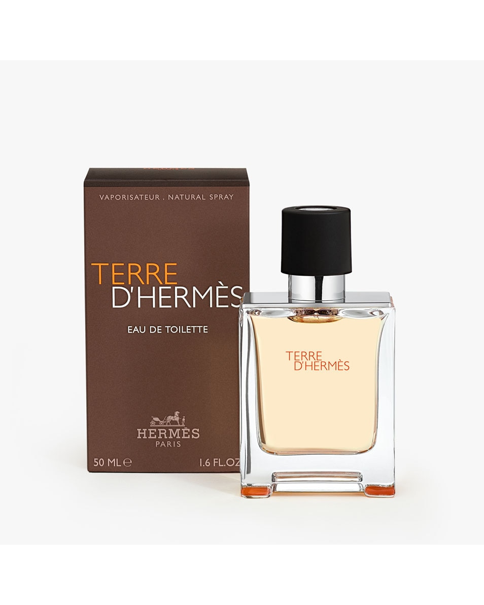 HERMÈS TERRE D'HERMÈS EAU DE TOILETTE VERSTUIVER 50 ML 2