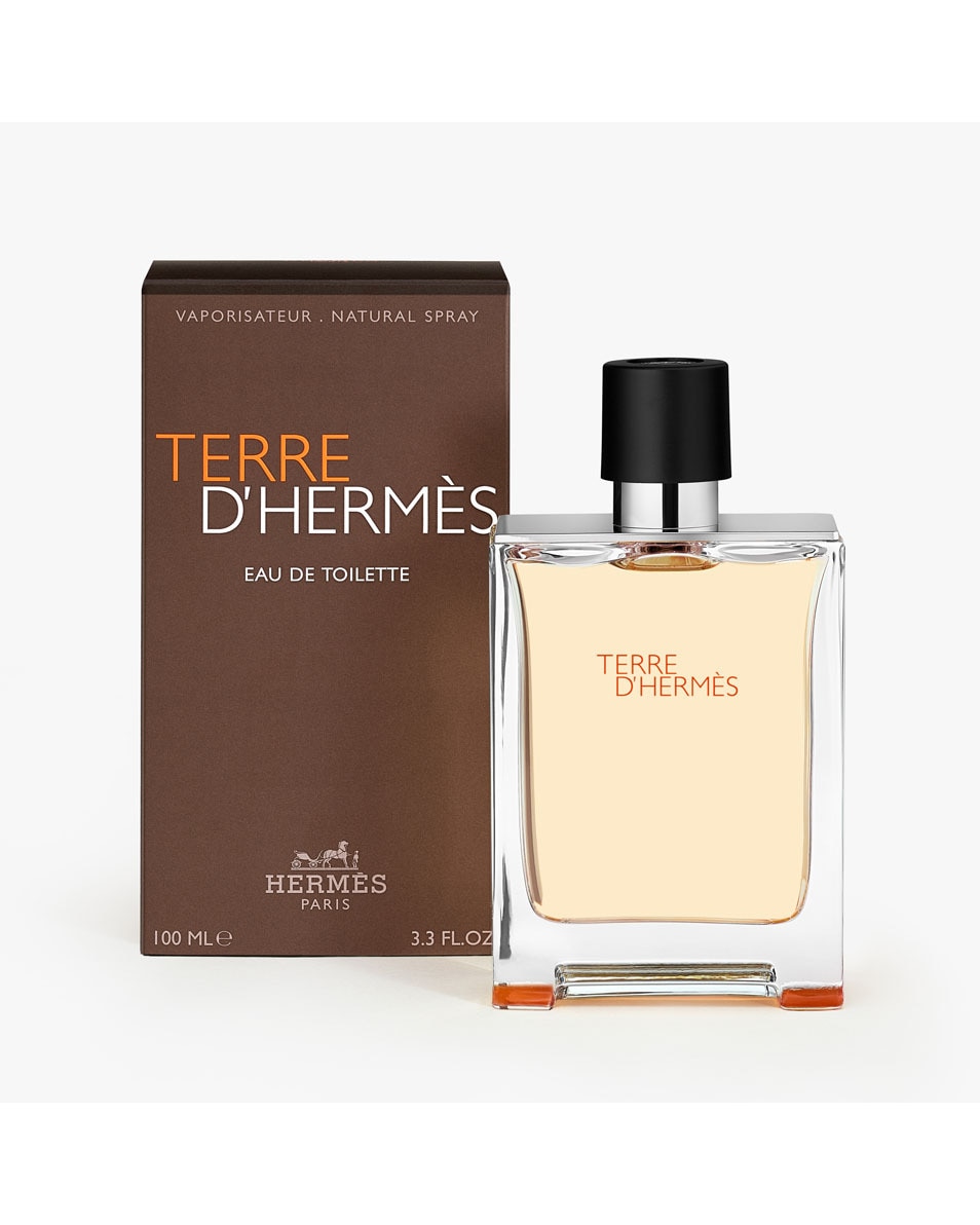 HERMÈS TERRE D'HERMES EAU DE TOILETTE 100 ML