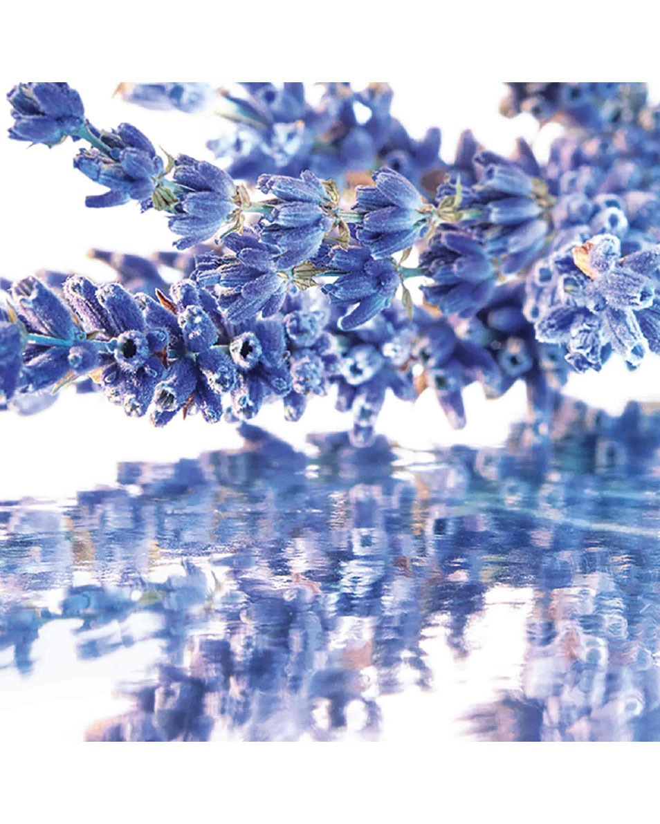 GUERLAIN MON GUERLAIN EAU DE PARFUM 50 ML 2